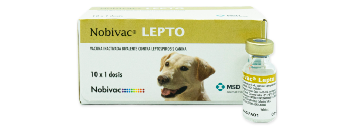 Nobivac® LEPTO – Vacuna contra la leptospirosis canina​